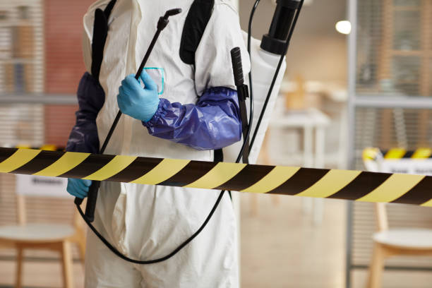 Professional Sewage Cleanup technician working in Moriches, NY